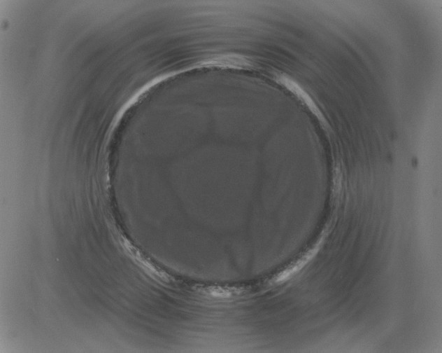 X0000081490923200702021919