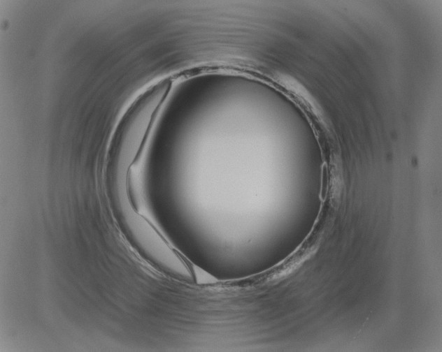 X0000081490924200702021919