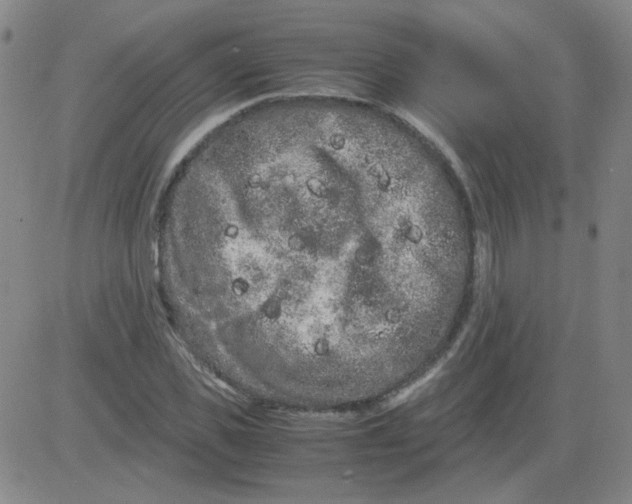 X0000081490925200702021919