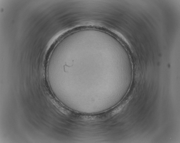 X0000081490927200702021919