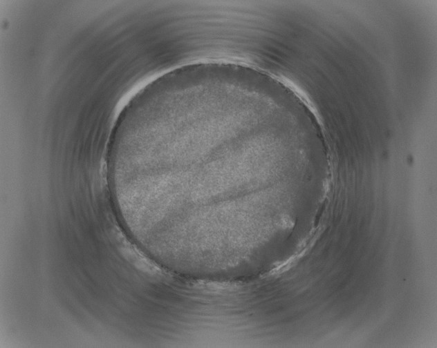 X0000081490928200702021919