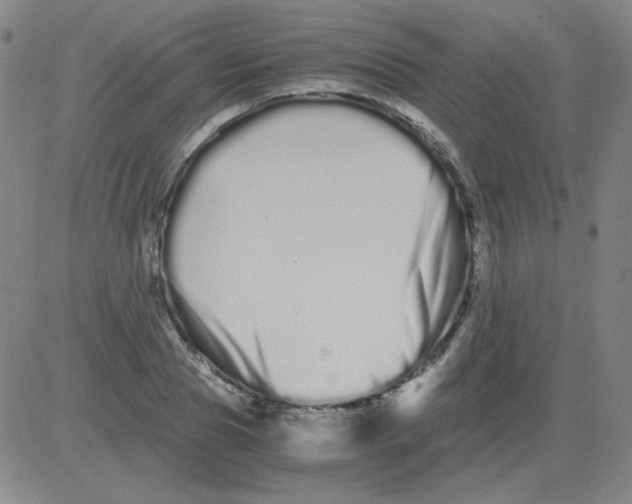 X0000081490929200702021919