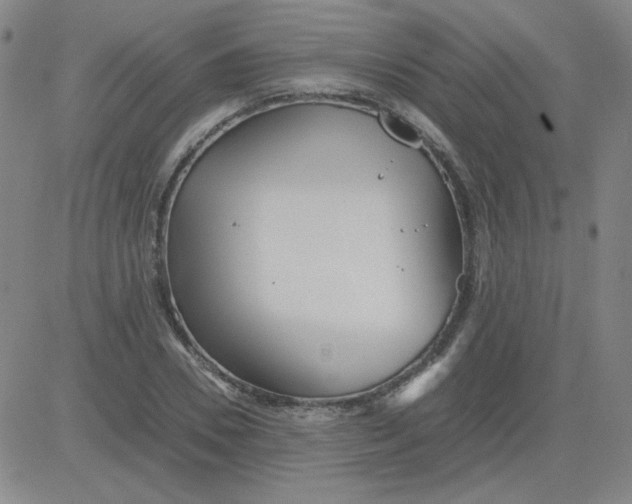 X0000081490930200702021919