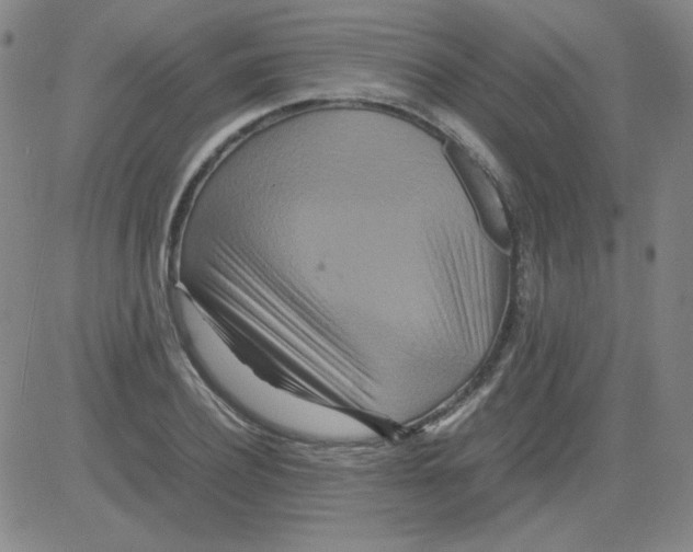 X0000081490932200702021919