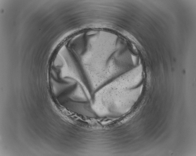 X0000081490934200702021919