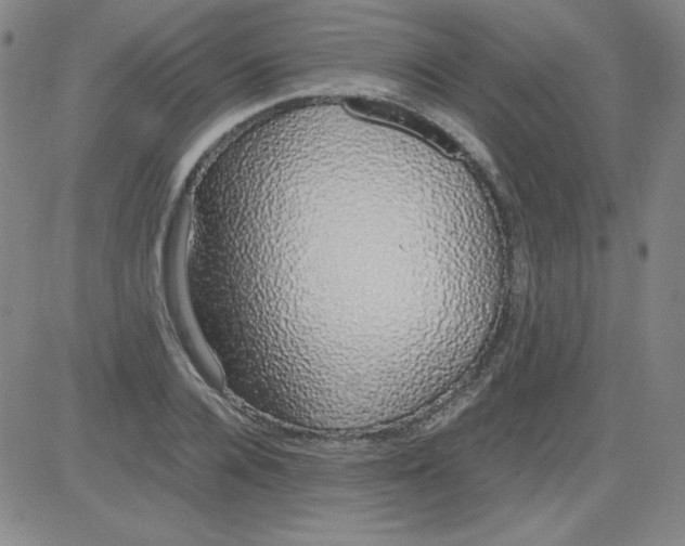 X0000081490936200702021919