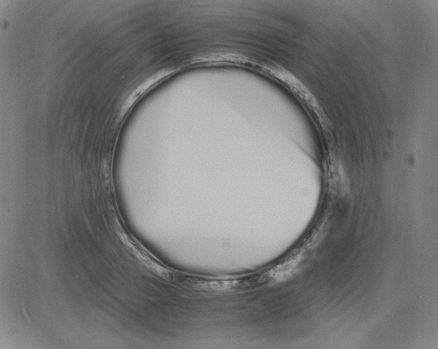 X0000081490937200702021919