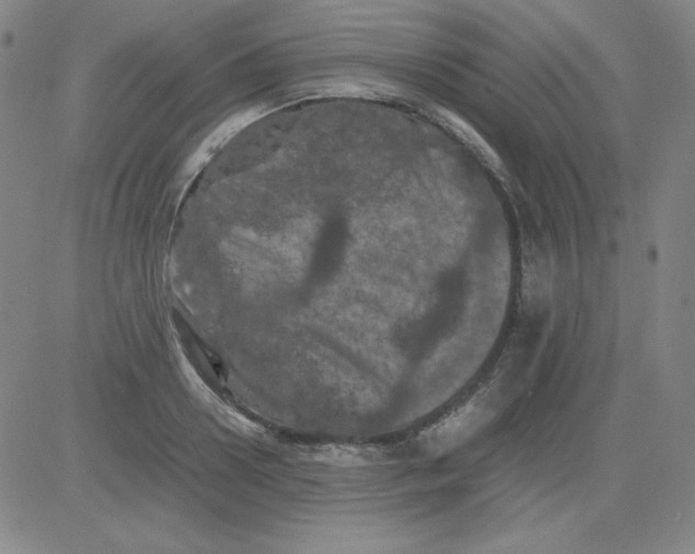 X0000081490938200702021919