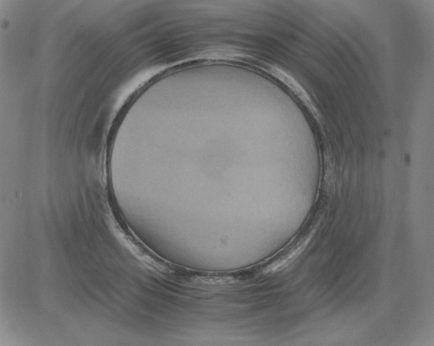 X0000081490939200702021919