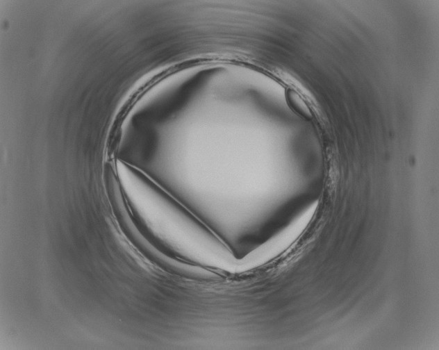 X0000081490940200702021919