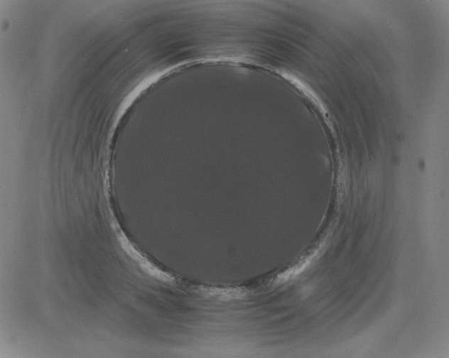 X0000081490941200702021919