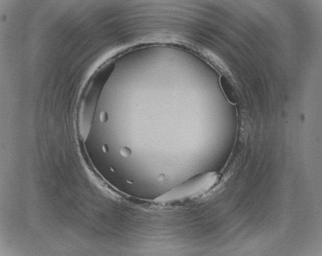 X0000081490942200702021919