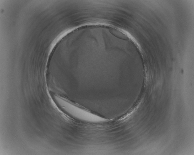 X0000081490943200702021919