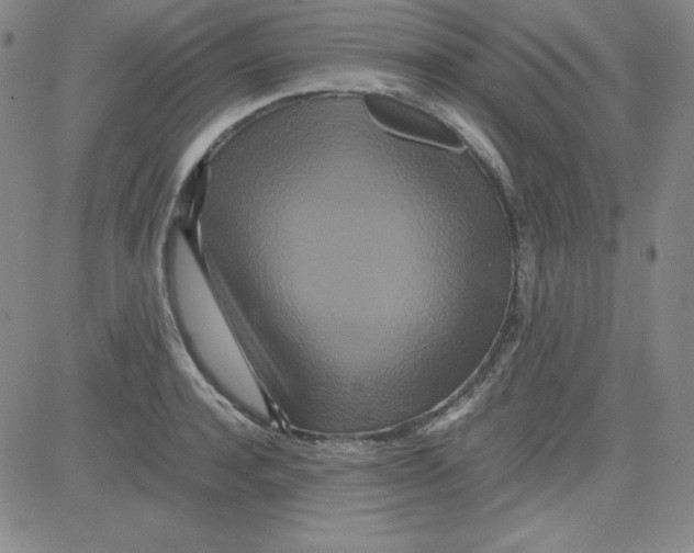 X0000081490944200702021919