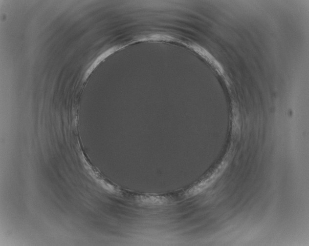 X0000081490945200702021919