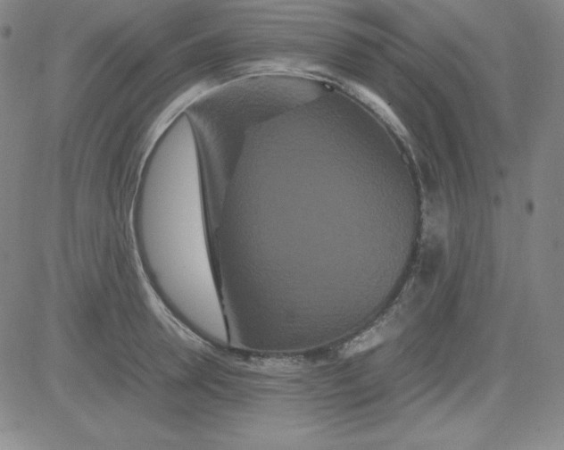 X0000081490946200702021919