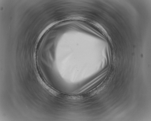 X0000081490947200702021919