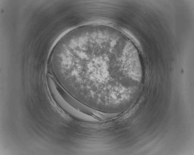 X0000081490948200702021919