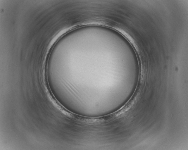 X0000081490949200702021919