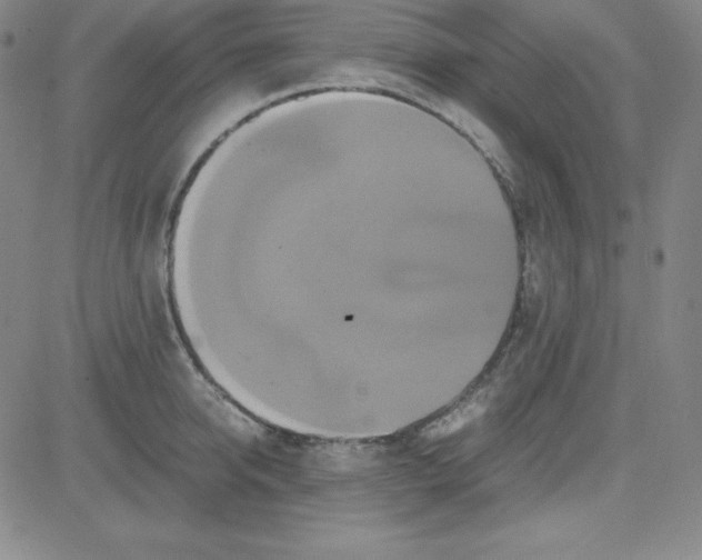 X0000081490950200702021919