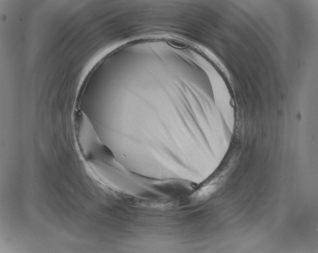 X0000081490951200702021919