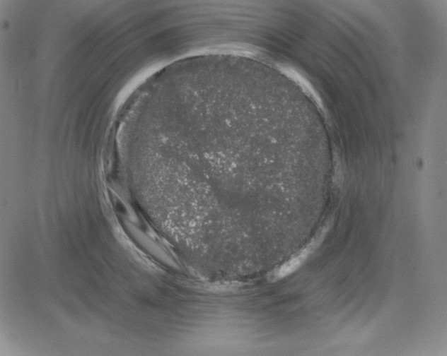 X0000081490952200702021919