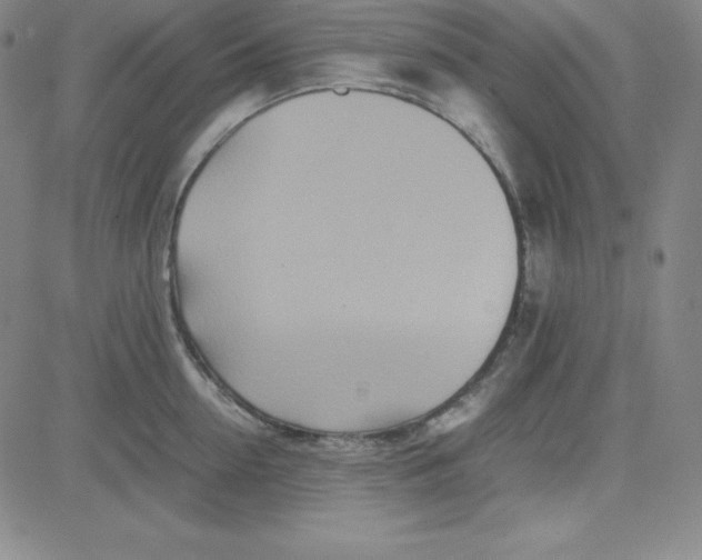 X0000081490954200702021919