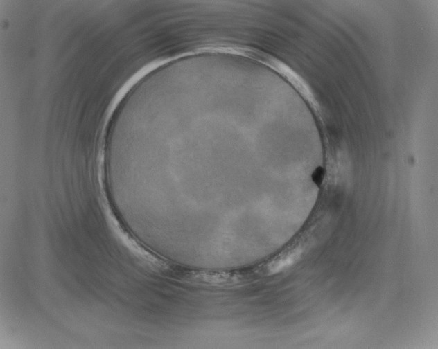 X0000081490955200702021919