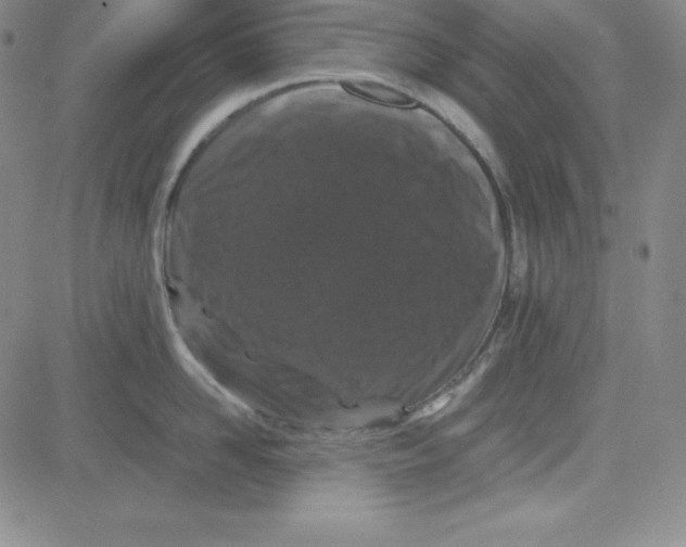 X0000081490958200702021919