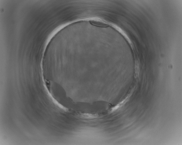 X0000081490959200702021919