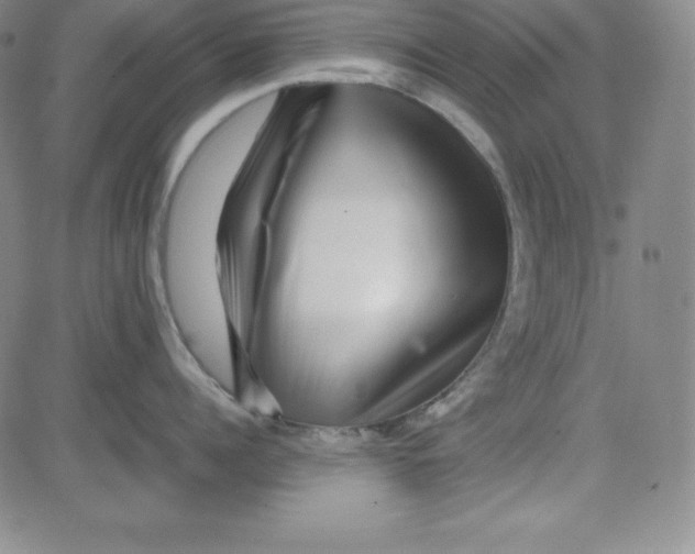 X0000081490960200702021919