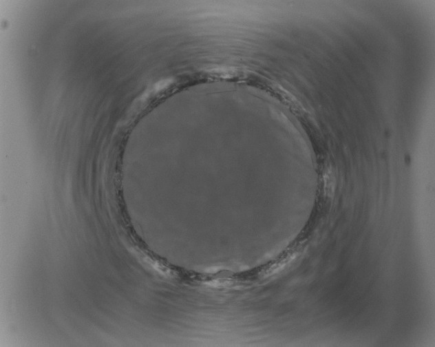 X0000081490961200702021919