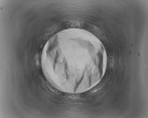 X0000081490962200702021919