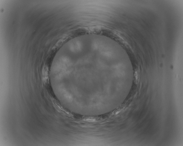 X0000081490963200702021919