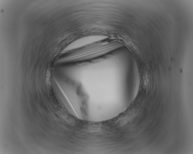 X0000081490964200702021919