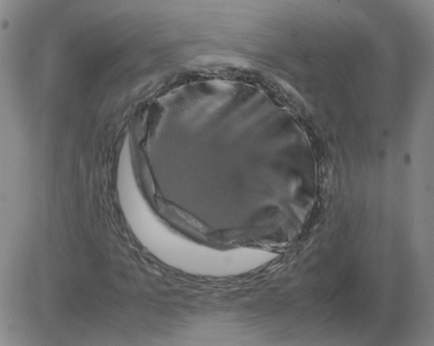 X0000081490965200702021919