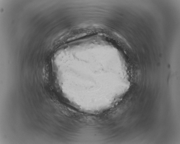 X0000081490966200702021919