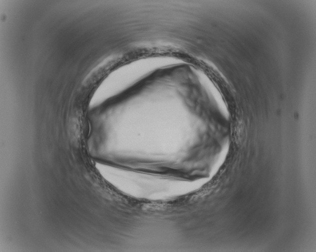 X0000081490967200702021919