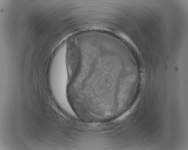 X0000081490969200702021919