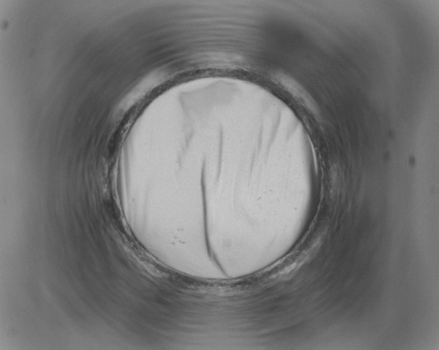 X0000081490970200702021919