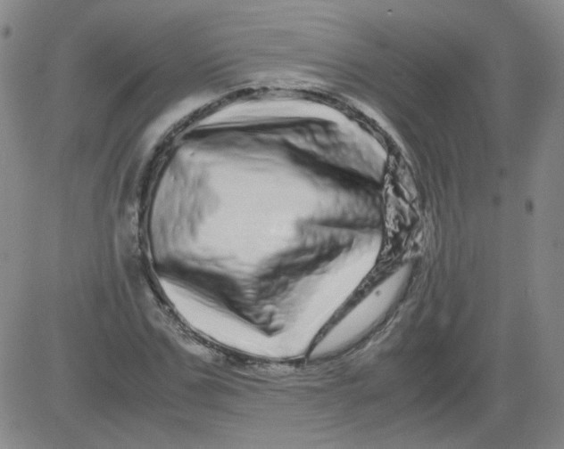 X0000081490971200702021918