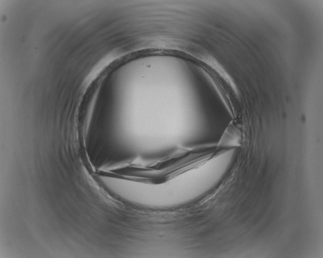 X0000081490972200702021918