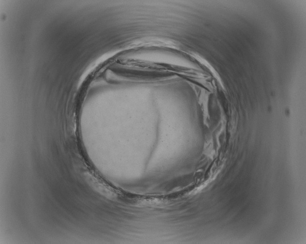 X0000081490973200702021918