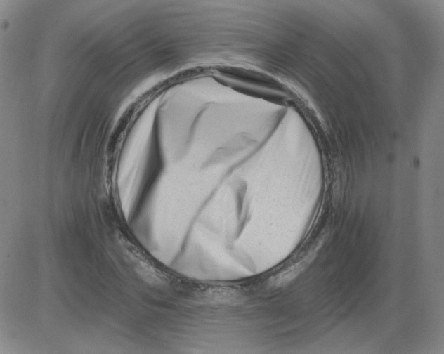 X0000081490974200702021918