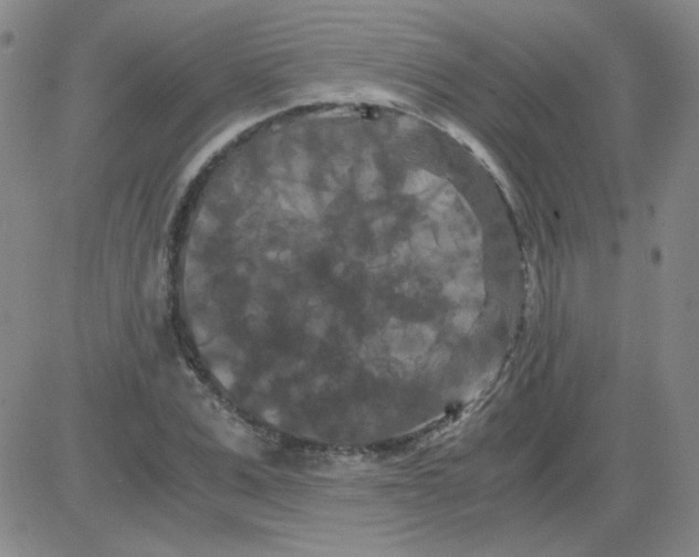 X0000081490975200702021918