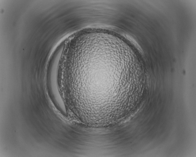 X0000081490976200702021918