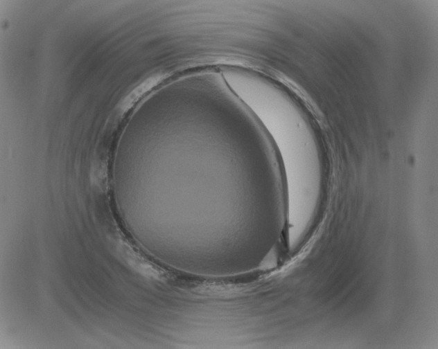 X0000081490977200702021918