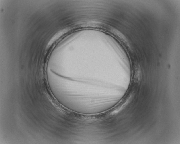 X0000081490978200702021918