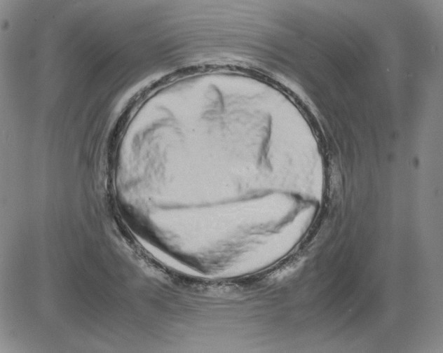 X0000081490979200702021918