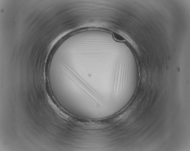 X0000081490980200702021918